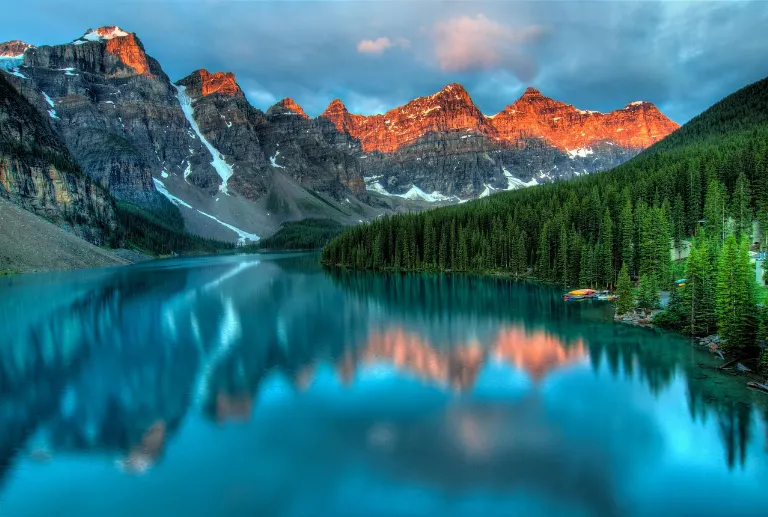 nature — nature