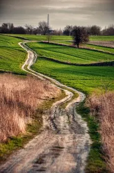 rutas — routes