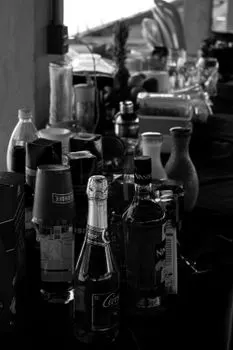 Напитки алкогольные — Alcoholic drinks