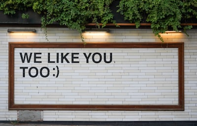 Would you like — voudriez-vous