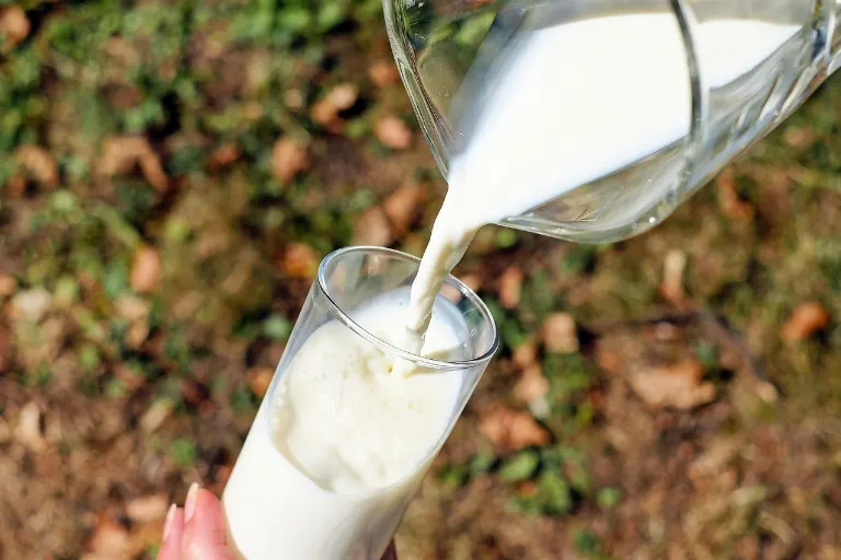 milk — lait