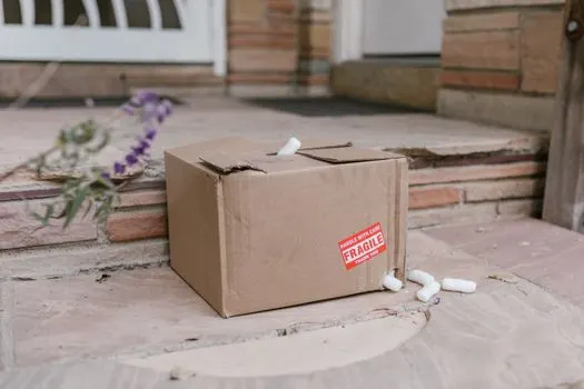 Ovo je stiglo oštećeno — This arrived damaged