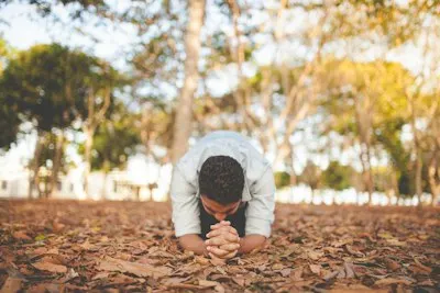Humbly — humildemente