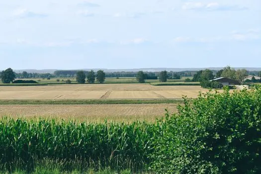 ферма — farm