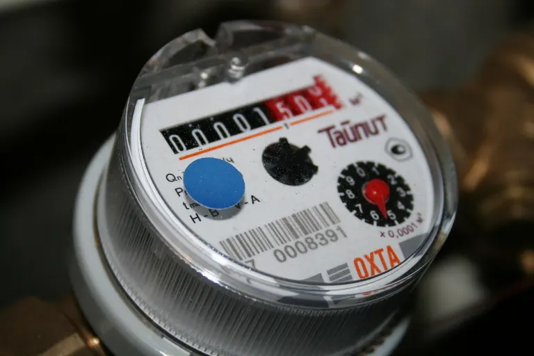 meter reading — relevé de compteur