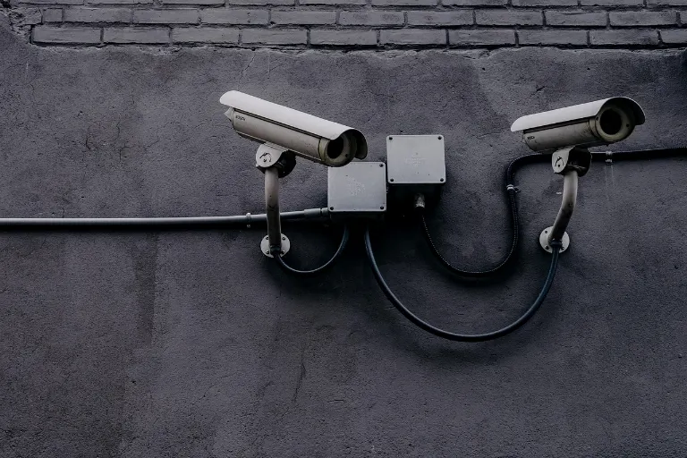 surveillance — surveillance