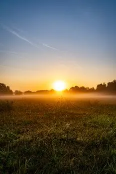ko rano rani, dve sreće grabi — il mattino ha l'oro in bocca