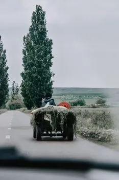 Поездка на телеге с сеном — Hayride