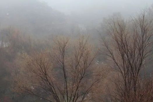 тусклый — Drab