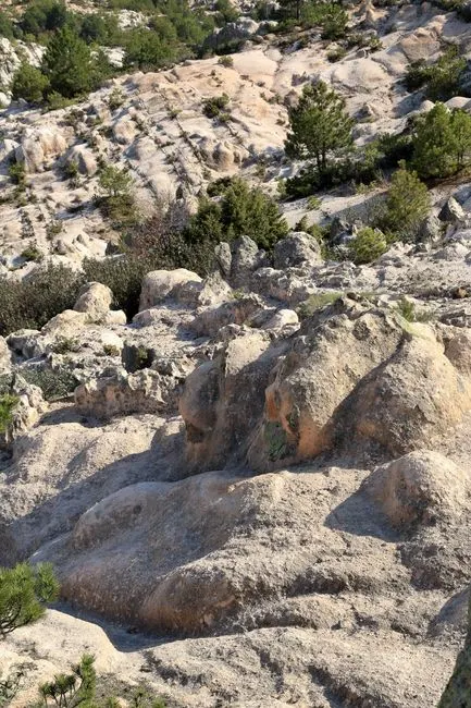 il se fond dans le décor — It blends in with the environment