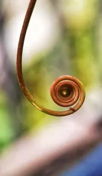 Кудрявый — Curly