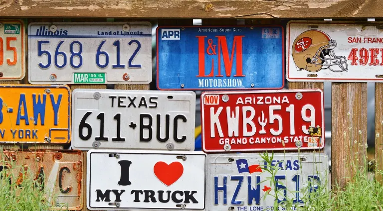 license plate — plaque d'immatriculation