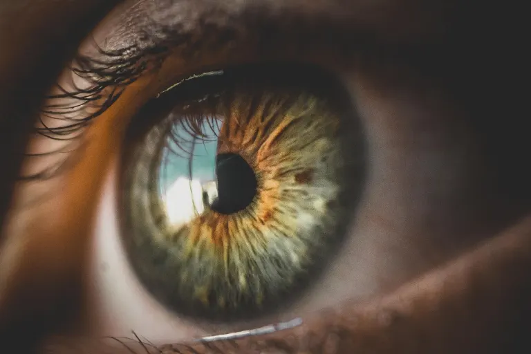 vision — vue