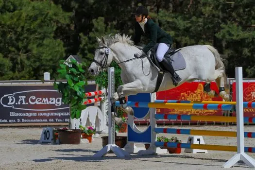 прыжки — Showjumping
