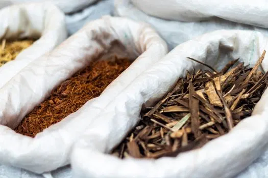 Корица — Cinnamon