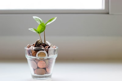 Saving — économie