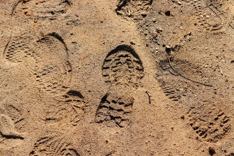 footprint — empreinte de pas