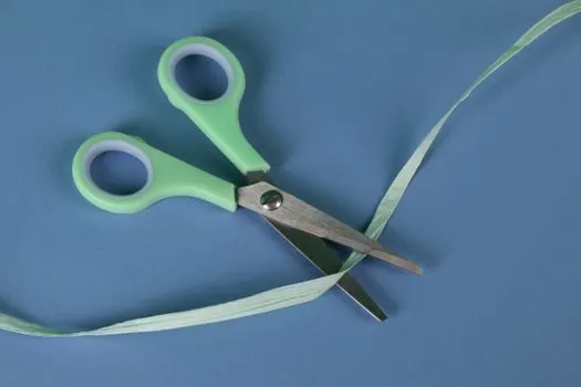 to cut a long story short — якщо коротко