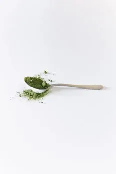 polen — Pollen