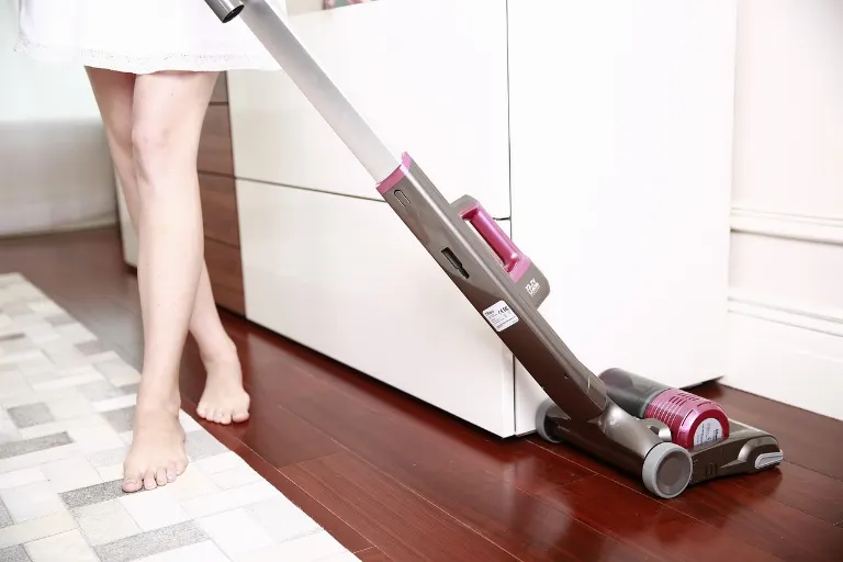 vacuum cleaner — aspirateur