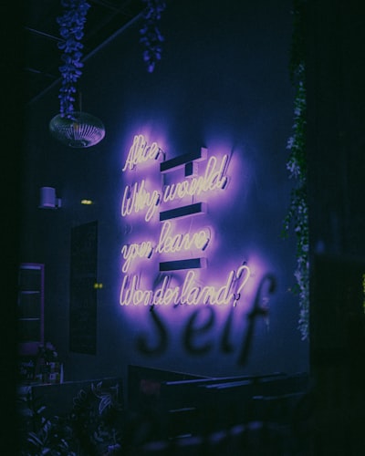 wondered — se demandait
