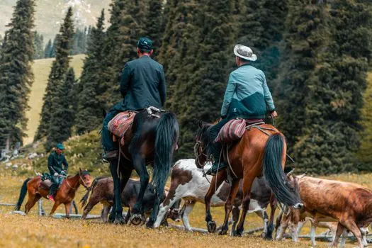 pastoralism — pastoralisme