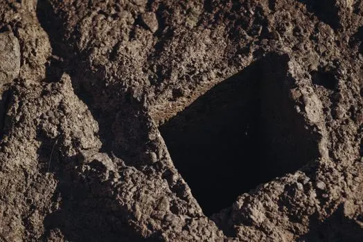 Раскопать — Excavate