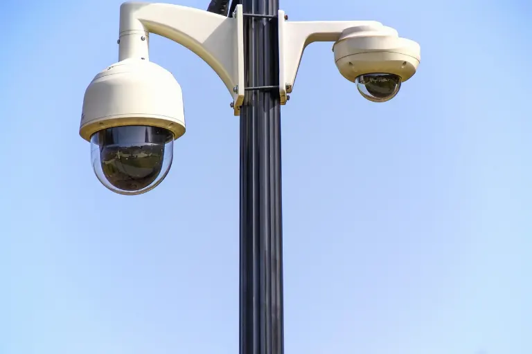 vigilant — vigilant