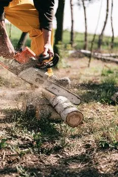 срубить — Cut down