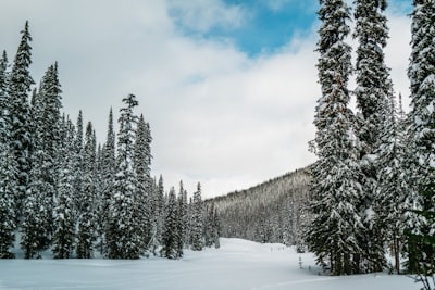 untracked — non suivi