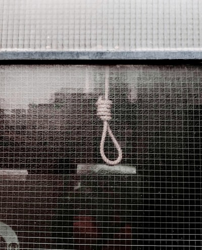 suspendu — hanging