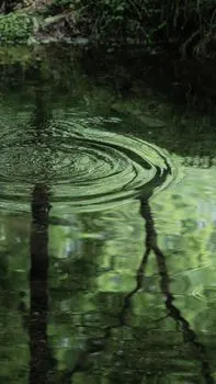 Лужи блестели — Puddles gleamed