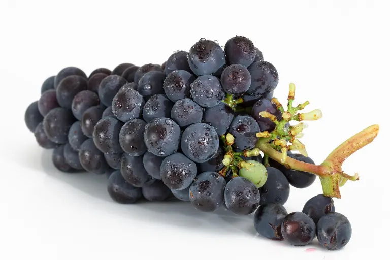 grape — raisin