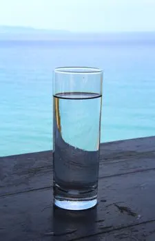 Wasser — apă