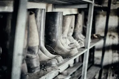 Резиновые сапоги — Wellies