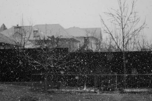 Снег — neige