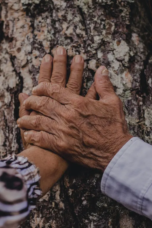 tactile — tactile