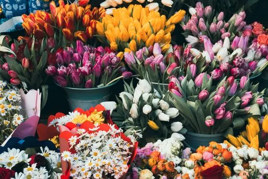 fleurs — Blumen