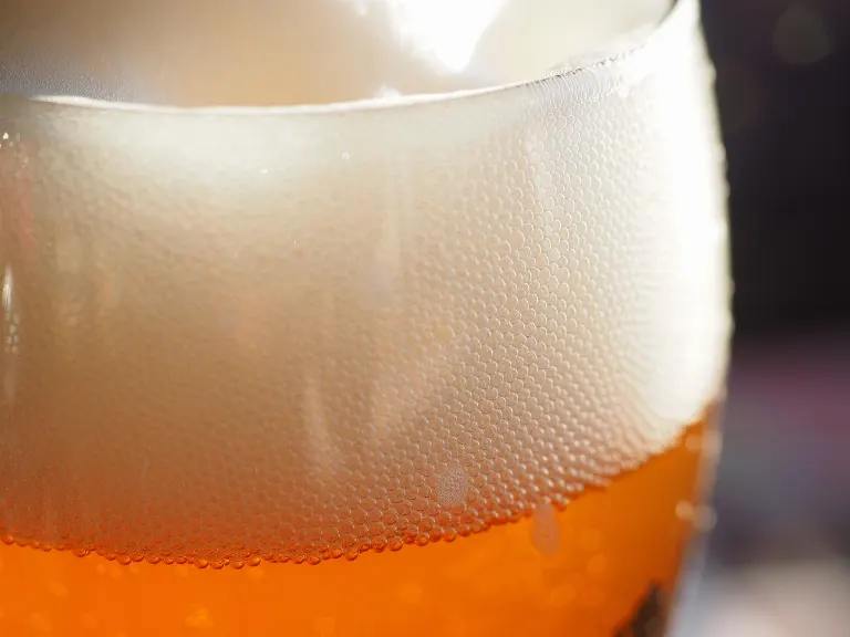 foam — mousse