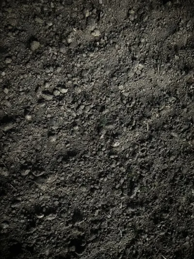 Грязь — Mud