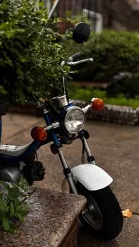 Trottinette — Roller