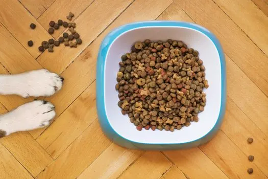 pet food — comida para mascotas