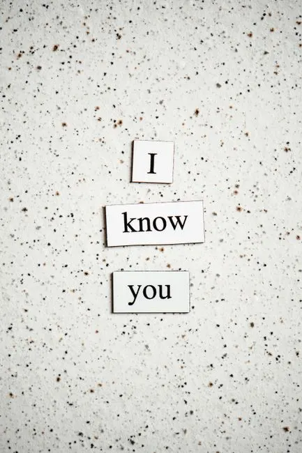 aucune idée — I have no idea