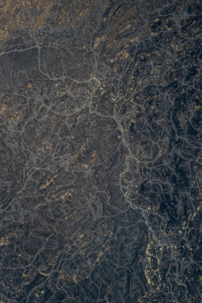 vein — veine