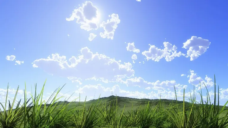 nice weather — beau temps