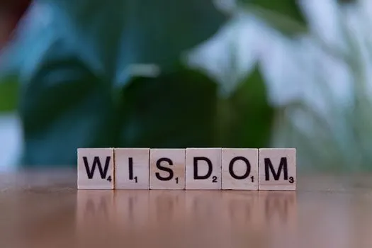 Жажду мудрости — Starving for wisdom
