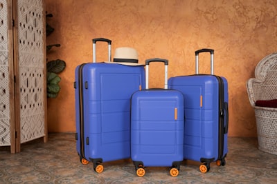 franchise de bagages — luggage allowance