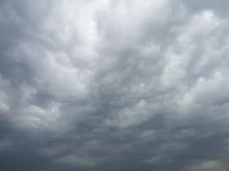 gris — grau