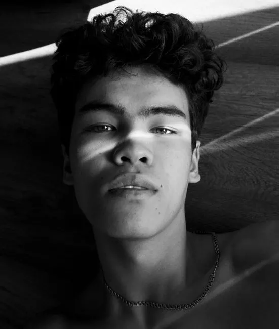 Middlebrow — de goût moyen