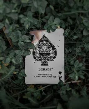 Пики — Spades